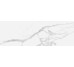 Fabula Wall Statuario Rt 330x1000 MN36 Marazzi