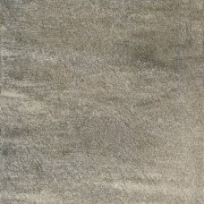 Walks 1.0 Gray Soft/Ret 600x600 728752