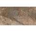 Tasmania Brown High Gloss 800x1600 Benison