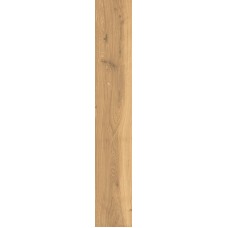 Timeless Honey 24х150 J89455