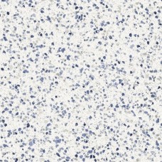Frammento Macro Azzurro R10 Rt 600x600 MN1L Frammento Macro Azzurro R10 Rt 600x600 MN1L