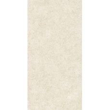 Stontech 4.0 Stone_02 R+Ptv/Ret 1200x2400 762817