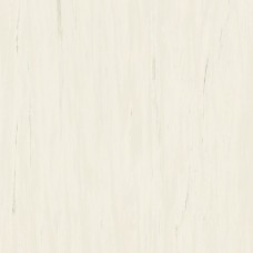 Marvel Stone Bianco Dolomite Matte 1200x1200 A204