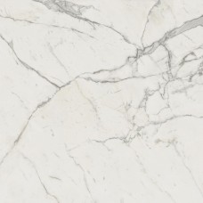 Marvel Calacatta Extra Matte 1200x1200 A20Y