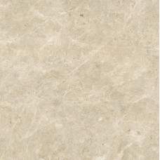 Nyra Sunlight 800x800 HCRZ Nyra Sunlight 800x800 HCRZ