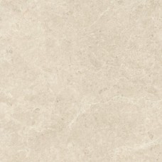 Nyra Hay 1200x1200 HCSF Nyra Hay 1200x1200 HCSF