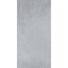 Avenue Light Grey 300х600 Matt
