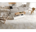 Charisma Cream F P 600x600x8 R Somat 1 Teo Ceramics