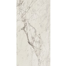 Marvel Statuario Select 120х278
