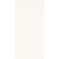 Resin Bianco 60х120 Rett Resin Bianco 60х120 Rett