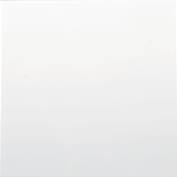 White 150x150 Glossy KAI Group