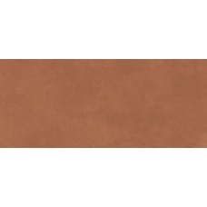 Prism Caramel Matte 1200x2780 A4VI