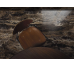 Grande Marble Look Frappuccino Lux Rettificato Stuoiato 1600x3200 M37K Marazzi