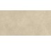 Boost Expression Tan Matte 300x600 AYV1 Atlas Concorde