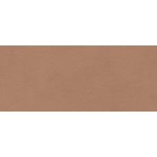 Boost Expression Sienna Matte 500x1200 AYR9 Boost Expression Sienna Matte 500x1200 AYR9