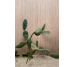 Sensi Terre By Thun Mattone Cannettato Cannete/Ret 600x1200 781496 Florim