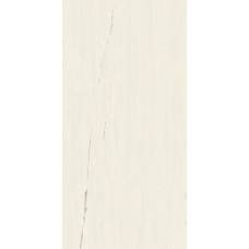 Marvel Bianco Dolomite 60x120 Matt