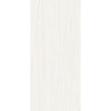 Marvel Bianco Dolomite 60x120 Lapp Marvel Керамічна плитка Atlas Concorde