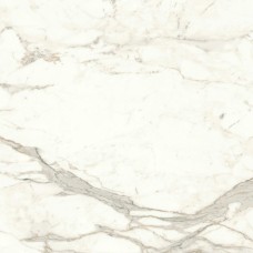 Marvel Calacatta Prestigio 120x120 Matt Marvel Calacatta Prestigio 120x120 Matt