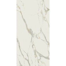 Stone Calacatta Michelangelo Slab B 163,5x323