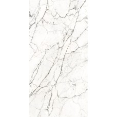 Stone Statuario Fantastico Slab A 163,5x323 Soft