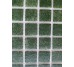 PW25213 Green 31.7x31.7 AquaMo мозаїка