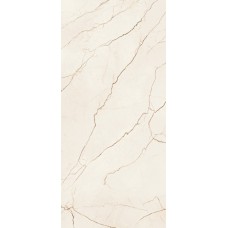 QUANTUM POLISHED 120*260*7mm