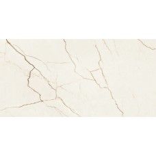 QUANTUM POLISHED 60*120*9mm