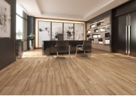 Softwood