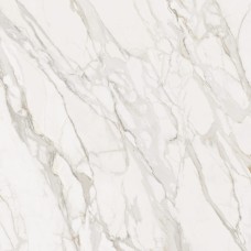 Calacatta Splendido Natural 120*120 Calacatta Splendido Natural 120*120