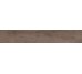Fortezza Brown F PR 198Х1200 R Mat  Teo Ceramics