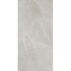 Leon Silver F P 600x1200x8 R Mat 1 Leon Silver F P 600x1200x8 R Mat 1