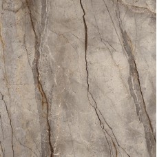 Grande Stone Look, Silver Root Satin 3D Ink 120x120 Rett. 6mm (MP46) Grande Stone Look, Silver Root Satin 3D Ink 120x120 Rett. 6mm (MP46)