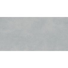 Extra Light Grey 598x298 WADVK823 Extra Керамічна плитка Rako