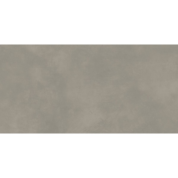 Extra Brown-Grey 598x298 Rect WARVK821 Rako