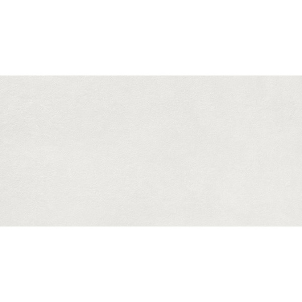 Extra White 598x298 Rect DARSR722 Rako
