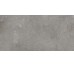 Dale Elephant 598x298 R11/C Rect Dark Grey DAGSR880 Rako