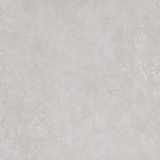 Dale Owl 598x598 Rect Grey DAR62879