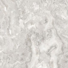 Salsa Beige F P 600x600 R Full lappato