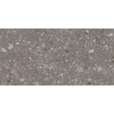 Terra Greige F P 600х1200 R Mat  