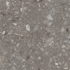 Terra Greige F P 600х600 R Mat