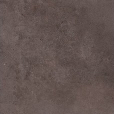 Victoria Dark Grey F PCR 600х600х20 R Mat 