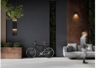 Monolight