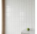 TAMOE BIANCO KAFEL 9.8х19.8 (плитка настінна)
