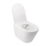 Унитаз подвесной Qtap Swan безободковый Ultra Quiet с сиденьем Soft-close QT16335179W