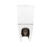 Унітаз-компакт Qtap Robin Ultra Quiet безободковий з сидінням Soft-close QT13222128AUQ1W