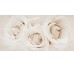 CAMELIA INSERTO FLOWER 29.7х60 (плитка настенная, декор: цветы розы)