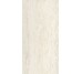 Плитка Invictus Ivory - 30x60 CSAINVIV30 Invictus з колекції Invictus Santagostino