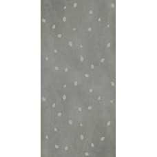 Concrete Signs Grey Buds 6 mm - 120x250 6CONCR250GREBUD Concrete Signs з колекції Concrete Signs Concrete Signs Grey Buds 6 mm - 120x250 6CONCR250GREBUD Concrete Signs з колекції Concrete Signs