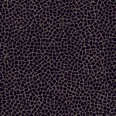 Coverlam Ardi Pulido 5.6 mm 120x120 Venezia з колекції Venezia